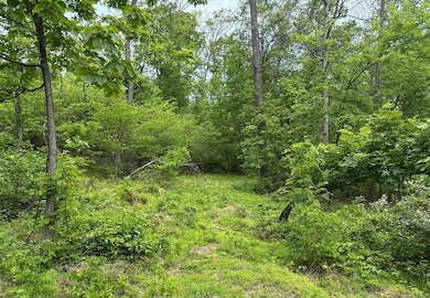 0 Woodmont Rd unit 23667528, Great Cacapon, WV 25422 - photo 2