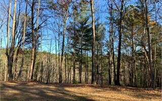 167 Ivy Cove Ln, Talking Rock, GA 30175 - photo 2