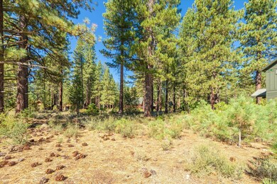 11300 Wolverine Cir, Truckee, CA 96161 - photo 5