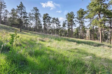 Lot17A W Minnesota St, Rapid City, SD 57701 - photo 3