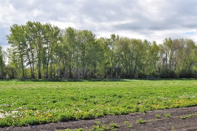 Lot C looking towards the creek