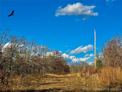 0 S 4547 Rd unit 2548088, Vian, OK 74962 - photo 3