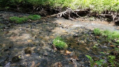 Reed Creek