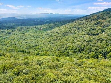 8267 Cox Mountain Ln, Jasper, GA 30143 - photo 3