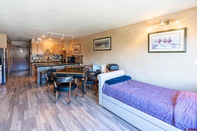 Tamarron Condos unit 302, Durango, CO 81301 - photo 6