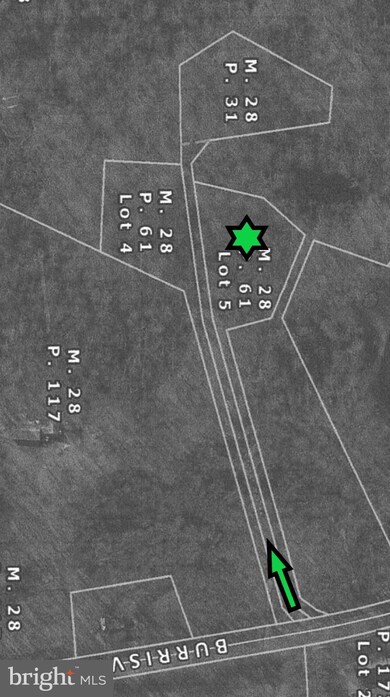 0 Burrisville Rd unit MDQA147966, Centreville, MD 21617 - photo 6