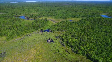 A great area for moose to gather,...