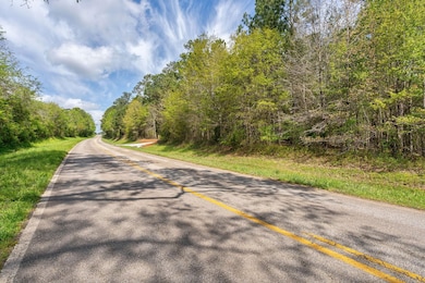 0 Skull Shoals Rd unit 23220093, Washington, GA 30673 - photo 3