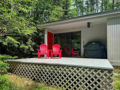 19 Deer Run Rd, Winhall, VT 05340 - photo 3