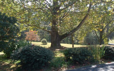 Additional View