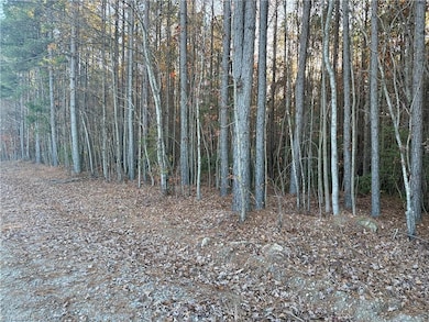 Lot 12B Woods Rd, Seagrove, NC 27341 - photo 2
