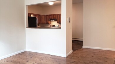 65 Brookline St unit 1, Cambridge, MA 02139 - photo 4