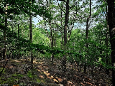 TBD Red Fox Trail, Boone, NC 28607 - photo 3