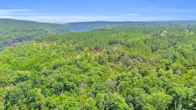 DJI_20250626022945_0181_D