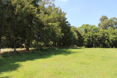 lot 2 shot 4