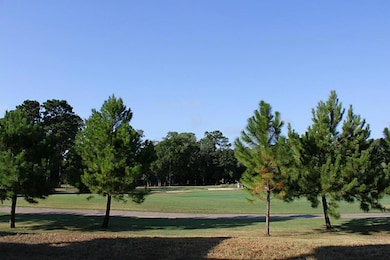 GOLF COURSE VIEW FROM PATIO DOWNSTAIRS