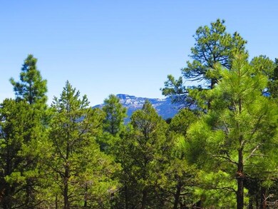 0 Fox Trail unit 20-978, Trinidad, CO 81082 - photo 3