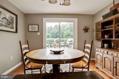 6120 Jeffersonton Rd, Jeffersonton, VA 22724 - photo 6