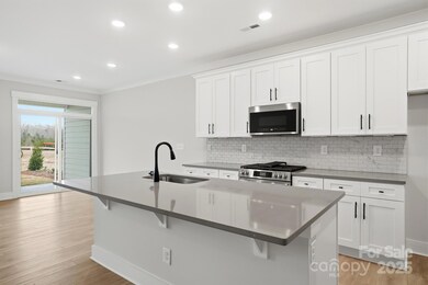 410 Limelight Rd, Waxhaw, NC 28173 - photo 6