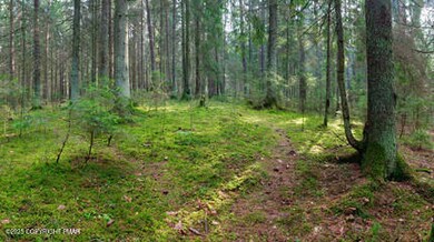 0 Overlook Dr unit PM-137226, Tamaqua, PA 18252 - photo 4