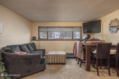 4921 Dartmouth Dr unit 12, Fairbanks, AK 99709 - photo 4