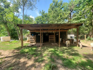 7651 County Road 400, Brazoria, TX 77422 - photo 4