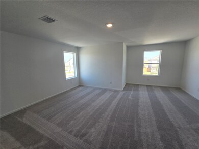 28943 Texas Sparrow Ln, Hockley, TX 77447 - photo 5