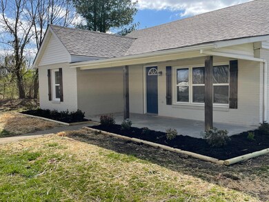 1447 Baxter Ridge Rd, Lawrenceburg, KY 40342 - photo 3