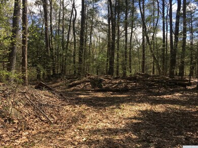 0 Grouse Run, Red Hook, NY 12571 - photo 2