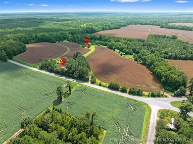 10958 and 10962 Nc 904, Fairmont, NC 28340 - photo 3