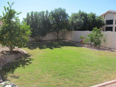 LARGE BACKYARD WITH FRUIT TREES