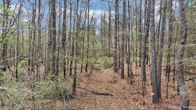 View of local wilderness
