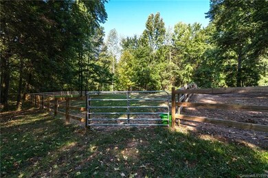 rear horse pastures