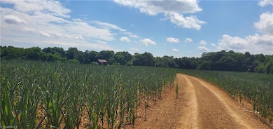 429 Harbour Ln, Dobson, NC 27017 - photo 2