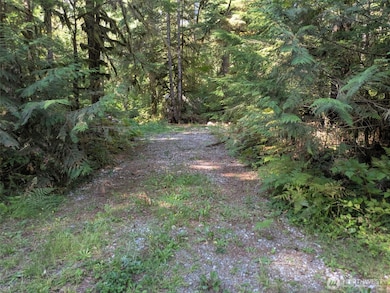 63783 W Cascade Dr unit D1-17, Marblemount, WA 98267 - photo 6