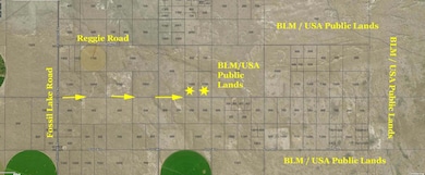 BLM Topo