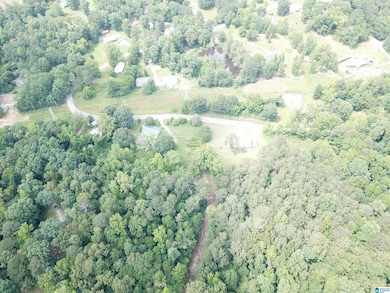 9063 Bush Ave unit 1, Leeds, AL 35094 - photo 4