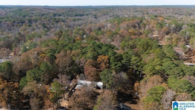 0 Jerry Dr unit 21437056, McCalla, AL 35111 - photo 5