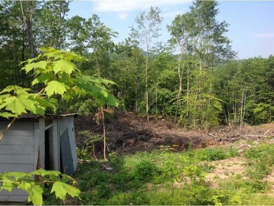 Yard/Garden.