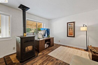 Living room with a wood stove and dark wood-type flooring