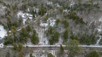 49 chickadee drone-2