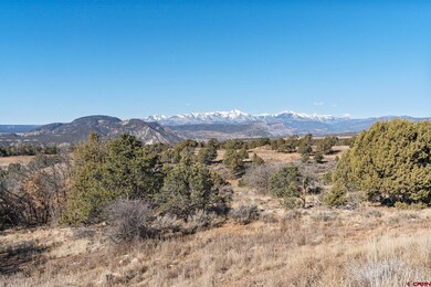 1155 County Road 301, Durango, CO 81303 - photo 2