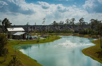 1005 Horned Owl Ct, Conroe, TX 77385 - photo 4