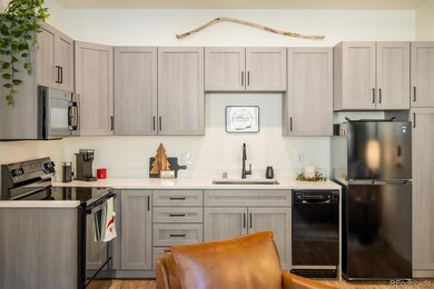 2121 Hummingbird Way unit 201, Georgetown, CO 80444 - photo 6