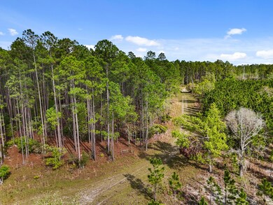 00 SE 51st Way, Trenton, FL 32693 - photo 4