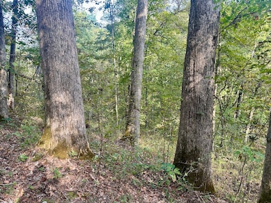 0 New England Ridge Rd unit 25758592, Washington, WV 26181 - photo 4