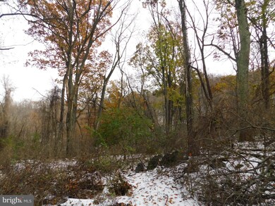 177 Riley Ct, Front Royal, VA 22630 - photo 4