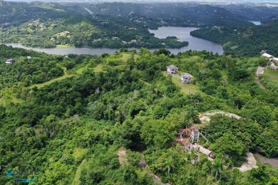 001 Carr 942, Gurabo, PR 00778 - photo 4