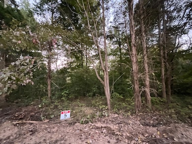 5 Lyle Hollow Rd, Palmyra, TN 37142 - photo 5