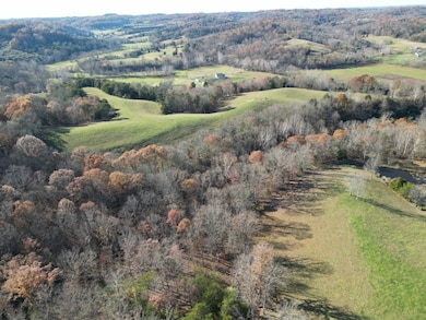 000 Cow Run, Cottageville, WV 25239 - photo 3